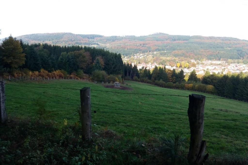 Maison indépend. 6 personnes à 10 mn de Gérardmer Granges-sur-Vologne Extérieur photo