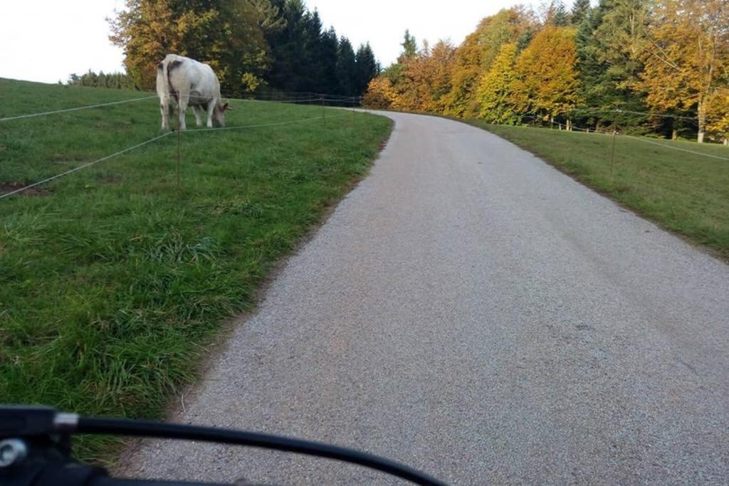 Maison indépend. 6 personnes à 10 mn de Gérardmer Granges-sur-Vologne Extérieur photo