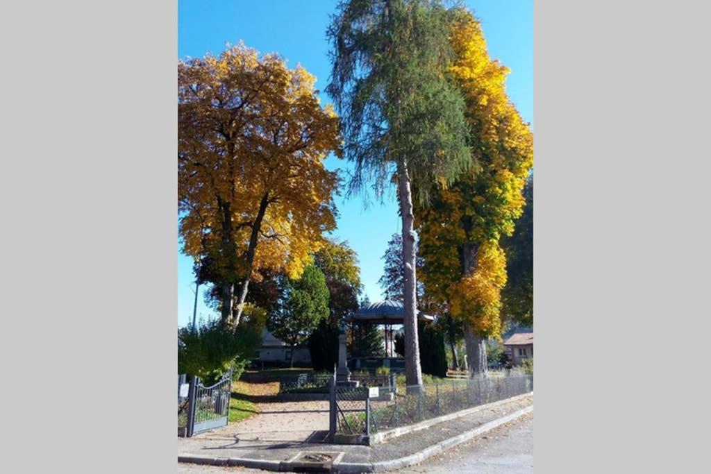Maison indépend. 6 personnes à 10 mn de Gérardmer Granges-sur-Vologne Extérieur photo